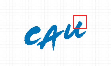 심볼 CAU