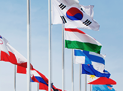 정치국제학과