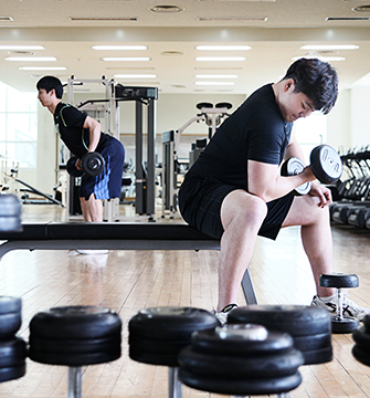 체육대학